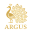 Argus Traffic API | Open Launch
